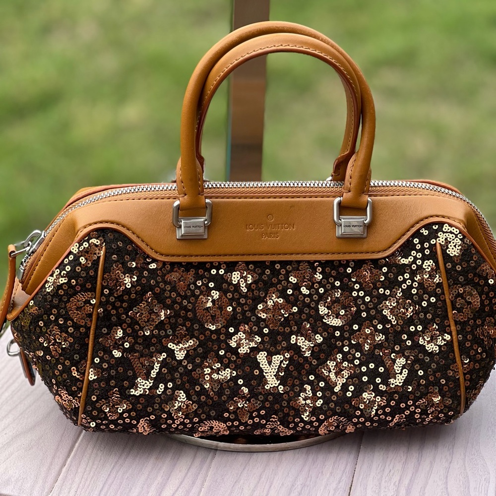 Louis Vuitton Limited Edition purse
